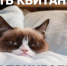 Это просто капремонт какой-то! - BusinessPskov.Ru