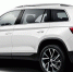 Сборку нового кроссовера Skoda Kodiaq могут наладить в России - Pln-Pskov.Ru