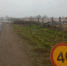Фотофакт: Одно лечим, другое калечим? - Pln-Pskov.Ru