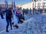 Животный страх