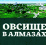 В областной библиотеке состоится презентация книги «Овсище в алмазах» - Pln-Pskov.Ru