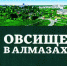 Фото предоставлено библиотекой - InformPskov.Ru