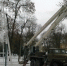 Вторую елку монтируют в центре Пскова - фотофакт - BusinessPskov.Ru