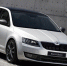 Самым популярным автомобилем Skoda в России стал лифтбэк Rapid - Pln-Pskov.Ru