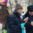 Лошадь места - Pln-Pskov.Ru