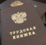 Псковской транспортной прокуратурой приняты меры к устранению нарушений трудового законодательства - Псковская транспортная прокуратура