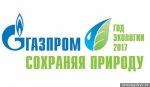 В эколаборатории Псковской ГРЭС побывали школьники из Дедовичей