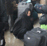 В Турцию частенько пытаются въехать нелегально в чемоданах - Комсомольская правда