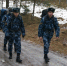 Псковичи отправились в поход по местам боевой славы «Снежный десант» - Pln-Pskov.Ru