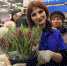 Предпраздничный цветочный ажиотаж в Пскове - фото - BusinessPskov.Ru