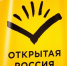 Региональное отделение «Открытой России» зарегистрировано в Пскове - Pln-Pskov.Ru