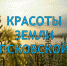 Псковичей приглашают на открытие фотовыставки петербургского блогера - BusinessPskov.Ru