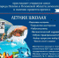 Открытые уроки по "Летним школам ПсковГУ" - ПсковГУ