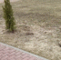 Фото с pskovgorod.ru - InformPskov.Ru