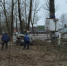 Муниципальные пни - Pln-Pskov.Ru