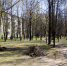 Фотофакт: Вырубка сквера на Юбилейной - Pln-Pskov.Ru