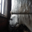 Фото rshn-tver.ru - InformPskov.Ru