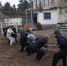 В псковских колониях прошли спортивные соревнования среди осуждённых - InformPskov.Ru