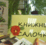 В Пскове подведены итоги «Книжных салок» - Pln-Pskov.Ru
