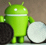 Новую ОС Android назовут в честь печенья - BusinessPskov.Ru