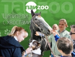 Целители с хвостами