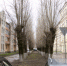 Ржавчина: анархия - Pln-Pskov.Ru
