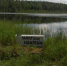 Фотофакт: «памятник идиотам» - BusinessPskov.Ru