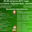 Выставка «Здравствуй, школа!» пройдет в Пскове 25 и 26 августа - Pln-Pskov.Ru