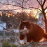 Фотография Катерины Кочкиной с сайта «КП-Псков» - InformPskov.Ru