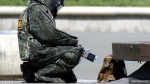 Псковичам напоминают меры антитеррористической безопасности