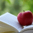 О фестивале - ГТРК Псков