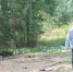 Псковские активисты ОНФ обратили внимание властей на несанкционированные свалки в лесополосе в Пушкиногорском районе - ОНФ в Псковской области