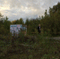 Куб в кустах, или Подвиг инспектора Бубнова - Pln-Pskov.Ru