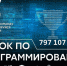 Кубок Пскова по программированию среди школьников пройдет 17 октября в центре «Без предела» - Pln-Pskov.Ru