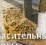 Спасительные оковы - InformPskov.Ru