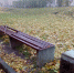 Психология вандала - Pln-Pskov.Ru