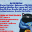 Международная выставка кошек пройдёт в Ледовом дворце Пскова 11-12 ноября - InformPskov.Ru