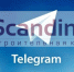 СК «Скандинавия» запустила канал в Telegram - BusinessPskov.Ru