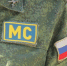 День российского военного миротворца отмечается 25 ноября - Pln-Pskov.Ru