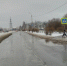 В Пскове появились ненастоящие пешеходы. ФОТО - Pln-Pskov.Ru