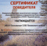 Призеры в Год Экологии - Псковский район