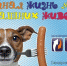 Феликс, Вжик и Маруся-красотка - знакомимся с новыми участниками конкурса от ЦДИ - BusinessPskov.Ru
