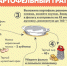 Картофельный гратен, пельмени в горшочке и расстегаи с рыбой - новые рецепты от псковских магазинов - BusinessPskov.Ru