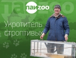 Укротитель строптивых