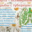В Псковском районе прошла ежегодная акция «Наш выбор-жизнь!», посвященная Всемирному дню борьбы с туберкулезом - Псковский район