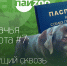 Собачья работа № 7: Ведущий сквозь темноту - InformPskov.Ru