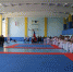 В Пскове состоялось Первенство по карате WKF «Тигр Шотокан» - Администрация г.Пскова