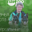 Собачья работа № 9: Универсальные спортсмены - InformPskov.Ru