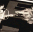 Неизвестные фото The Beatles нашли у японского фотографа - InformPskov.Ru