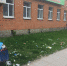 «Забастовка дворников» на Алтаева? – фото - BusinessPskov.Ru